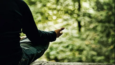 Encontre Sua Calma Interior: Guia de Meditação para Paz, Equilíbrio e um Sono Reparador 2 meditação para a paz inteiror