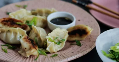 Guioza de Repolho low carb